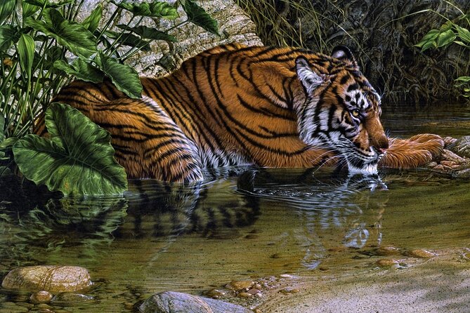 03 Days Private Wildlife Ranthambore Tiger Tour from Jaipur - Transfers and timing: the long return drive you should plan for
