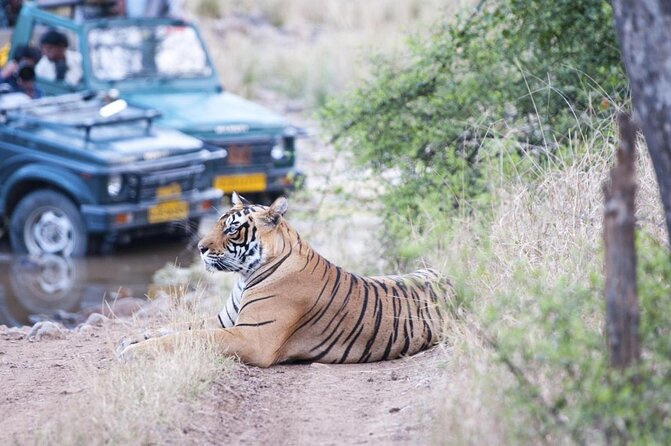 2-Days Private Ranthambhore Tiger Tour from Jaipur - Key Things That Make This Tour Worth Your Time