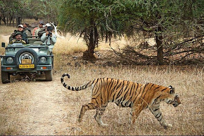 2-Days Private Ranthambhore Tiger Tour from Jaipur - Two Safari Chances in the Park: What You’re Really Buying