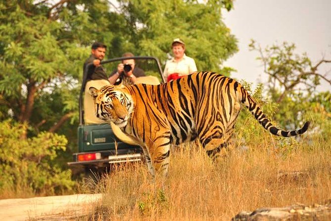 2-Days Private Ranthambhore Tiger Tour from Jaipur - Ranthambhore Zones: Why Where You Drive Changes What You See
