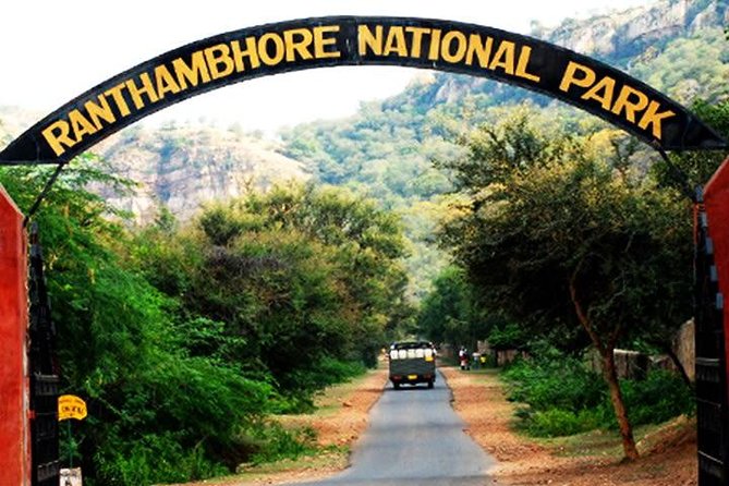 2-Days Private Ranthambhore Tiger Tour from Jaipur - Clothing, Comfort, and Park Behavior: Small Things That Help a Lot