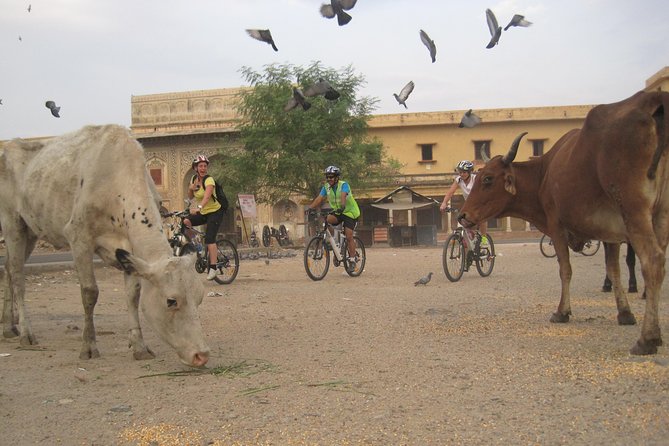 3-Hour Morning Bike Tour of Jaipur - Why a 6:00 am Jaipur bike ride feels different than daytime