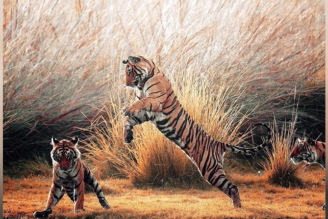 4 Days Guided Jaipur, Ranthambore Tigers & Udaipur Tour With Safari & Hotels - Who should book this tour, and who might feel cramped by it