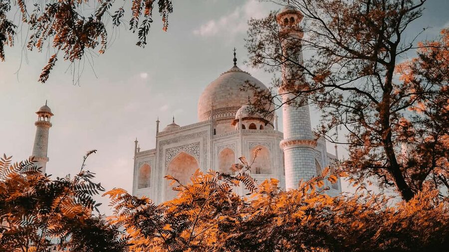 7-Day Golden Triangle Jodhpur Udaipur Tour from Delhi - Jaipur to Jodhpur: Mehrangarh Fort and the blue-city monuments