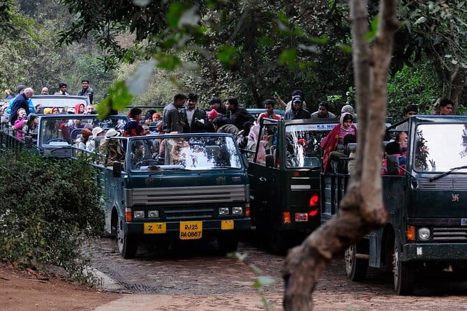 Day Trip from Jaipur to Ranthambore Safari - Pickup, pacing, and the practical rhythm of the day