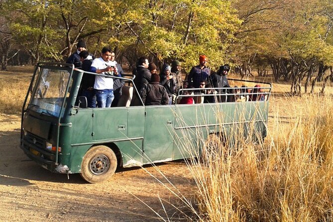 Day Trip to Ranthambore Tiger Reserve from Jaipur - Price and value: what $90.78 covers (and what it doesn’t)
