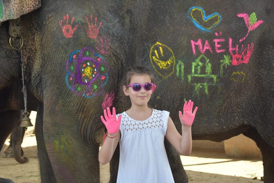 Elefun Best Elephant Sanctuary in Jaipur - Timing, Tea, and Free Time: How the 3 Hours Actually Works