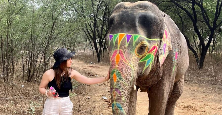 Elefun Best Elephant Sanctuary in Jaipur - Getting There: Pickup from Hawa Mahal or Central Jaipur