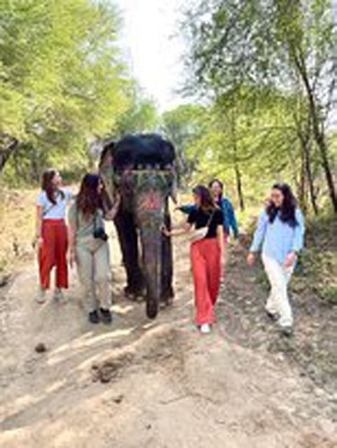 Elephant Sanctuary for Best elephant experience in Jaipur - Elephant Sanctuary in Jaipur: What you’re really buying