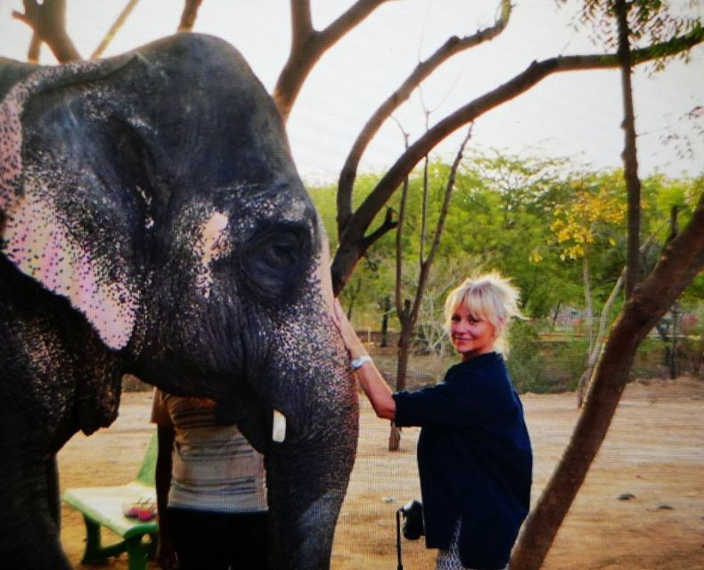 Elephant Sanctuary for Best elephant experience in Jaipur - Tea, coffee, and fruit juice: small comfort, smart timing