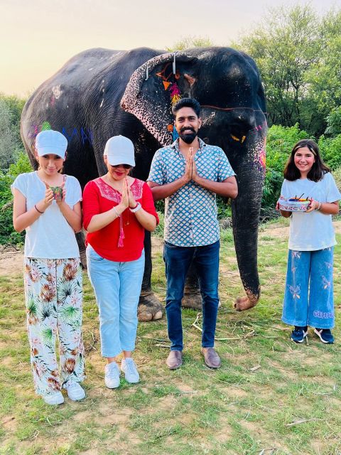 Elephant Sanctuary for Best elephant experience in Jaipur - What’s the itinerary flow, in plain English?