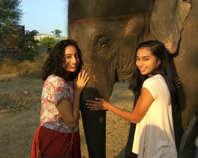 Elephant Sanctuary for Best elephant experience in Jaipur - Price and value: why $62 might feel fair (or not)