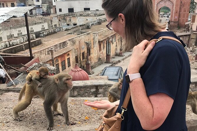 Explore Jaipur in a Tuk Tuk - Royal Gaitor Tombs and Jal Mahal: marble and reflections