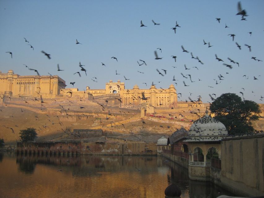 From Delhi: Private Jaipur & Amber Fort Guided Tour by Car - Lunch in the Pink City: how to order for maximum local flavor