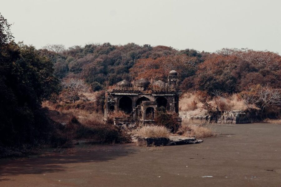 From Jaipur : 2 Days Ranthambore Tiger Safari Tour By Car - Day 1 schedule: the drive, the hotel check-in, and your first safari