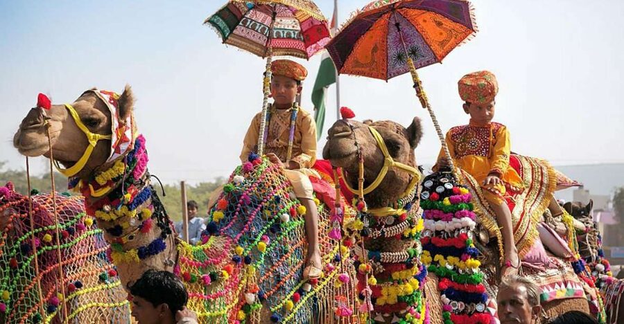 From Jaipur: One-Day Trip From Jaipur to Pushkar - Key Highlights You’ll Actually Feel