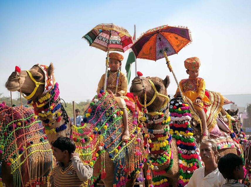 From Jaipur: One-Day Trip From Jaipur to Pushkar - Brahma Temple: The Stop That Makes Pushkar Different
