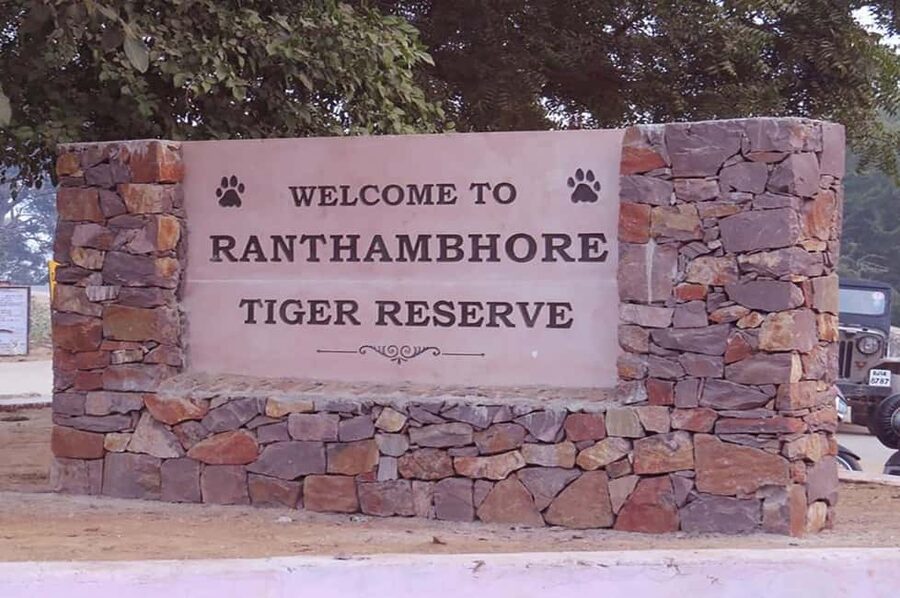 From Jaipur: Praivte Ranthambore Tour By Jeep Canter Safari - Key Things to Know Before You Go