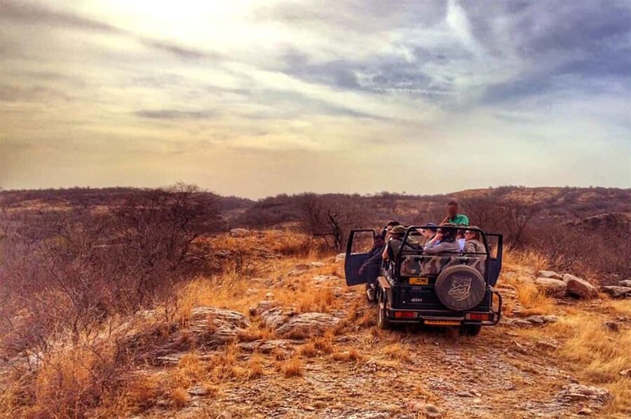 From Jaipur: Praivte Ranthambore Tour By Jeep Canter Safari - Jaipur to Sawai Madhopur: The Drive That Sets Your Day