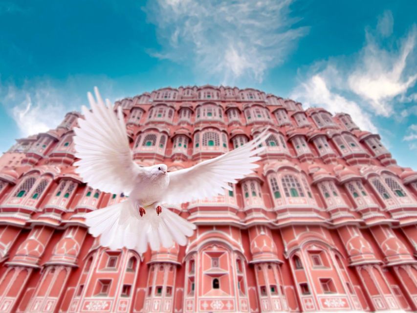 From Jaipur: Private Amber Fort, Jal Mahal and More Car Tour - A Private 8-Hour Jaipur Circuit From Hotel or the Airport