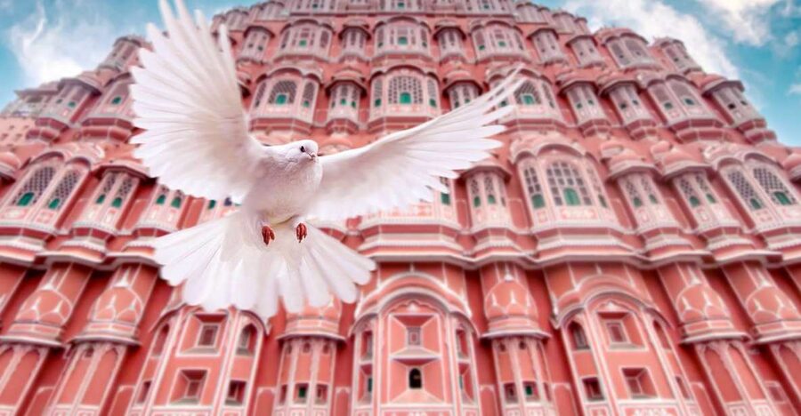 From Jaipur: Private Amber Fort, Jal Mahal and More Car Tour - City Palace and Chandra Mahal: Museum Spaces Still Feel Royal