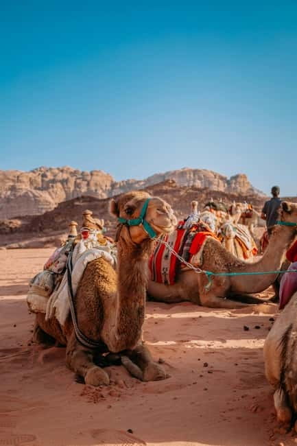 From Jaipur: Pushkar and Ajmer Private Day Trip - Key Highlights Worth Planning For