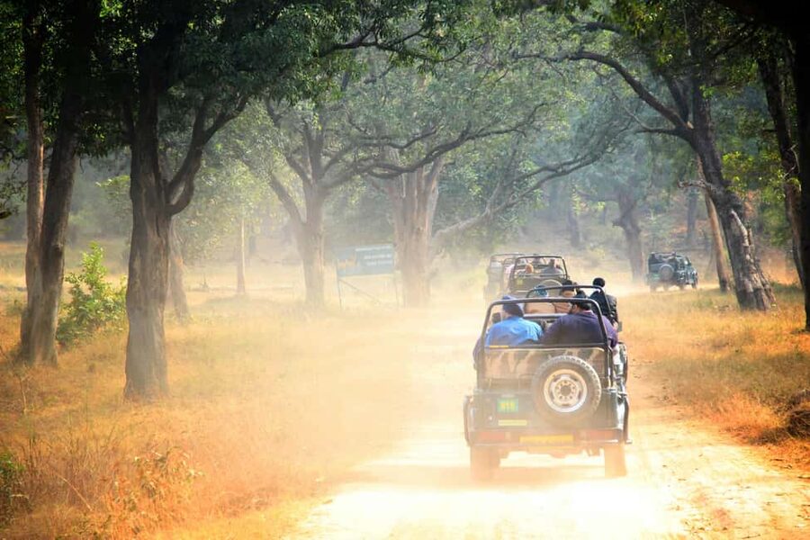 From Jaipur: Ranthambore National Park Day Trip with Safari - What to Pack for a Cold Safari (and a Long Day in Motion)