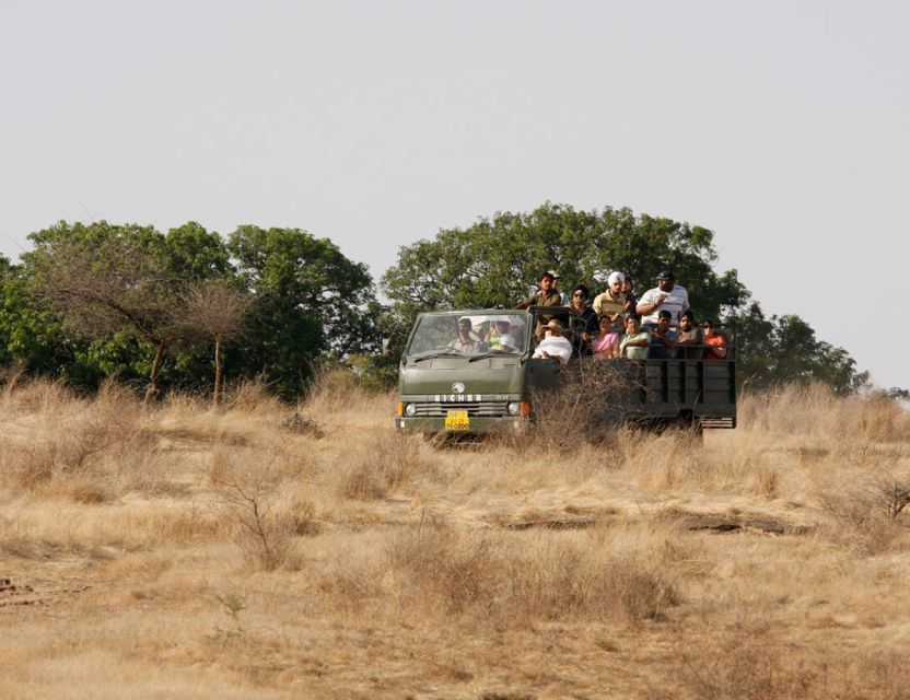 From Jaipur: Ranthambore Tour with Cab - Key takeaways before you go