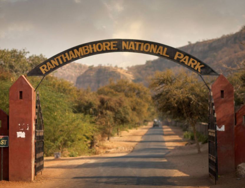 From Jaipur: Ranthambore Tour with Cab - What you can look for at Ranthambore (beyond the tiger rush)