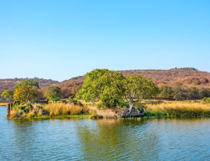 From Jaipur: Ranthambore Tour with Cab - How to judge the guide and vehicle day-of (without overthinking)