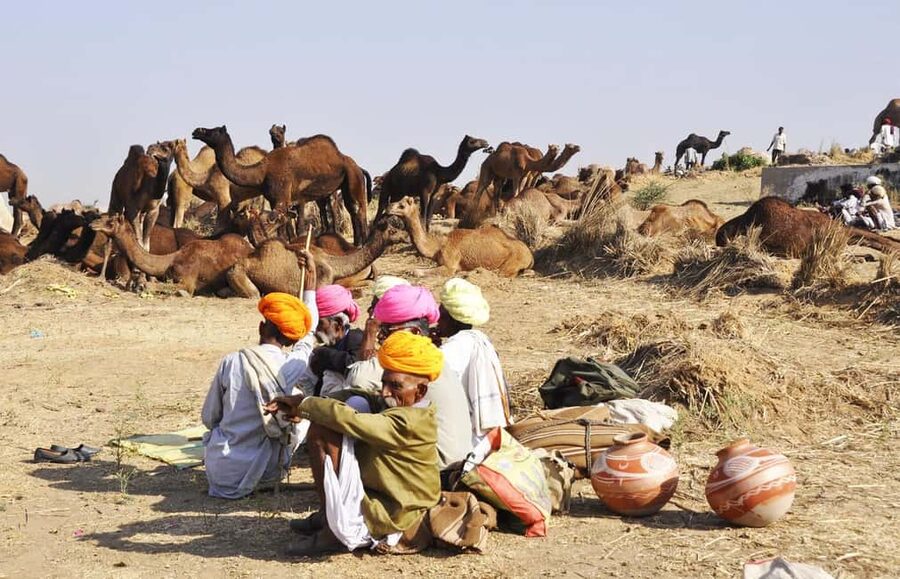 From Jaipur: Same Day Pushkar Self-Guided Day Trip - What to pack and what to expect at worship sites