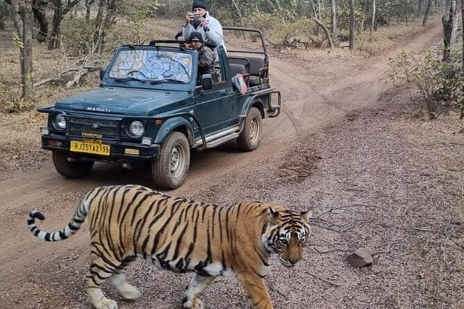 Full day Jaipur Excursion - Price and value: is $30 per group a good deal?