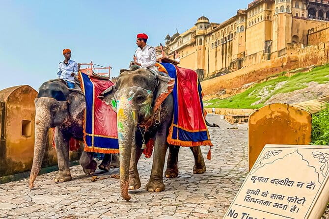 Full-Day Jaipur Highlights with Local Guide & Private Vehicle - Amber Fort: The Main Event, With Plenty to Take In