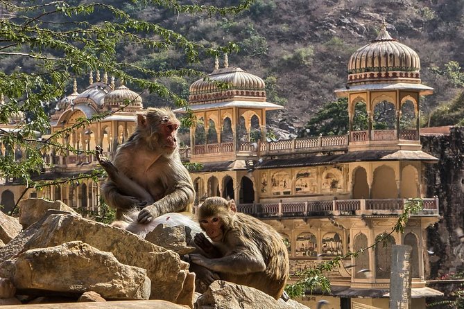 Full-Day Private City Tour of Jaipur - Panna Meena ka Kund, Jal Mahal, and Gaitore: the “quick hits” that add character