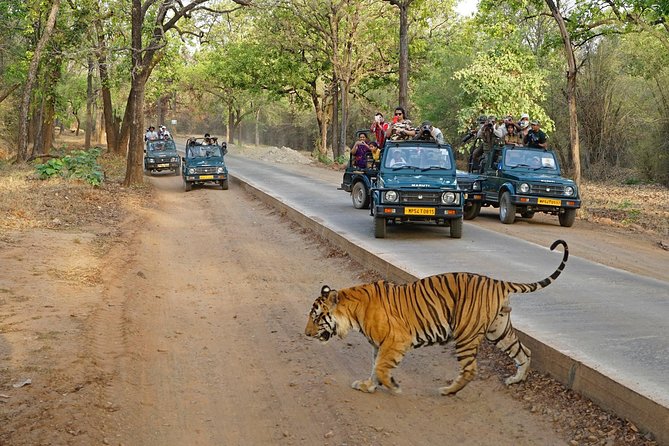 Full Day trip to Ranthambore tiger reserve from Jaipur Hotels - Leaving Jaipur at 3:00 am: timing that shapes your whole day