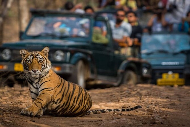 Golden Triangle & Ranthambore: 4-Day Private Tour from Delhi - Golden Triangle and Ranthambore at a Glance: What You’re Really Buying