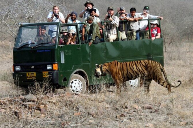 Golden Triangle & Ranthambore: 4-Day Private Tour from Delhi - Ranthambore Safari Day: Shared Canter + Real-Time Wildlife Scanning