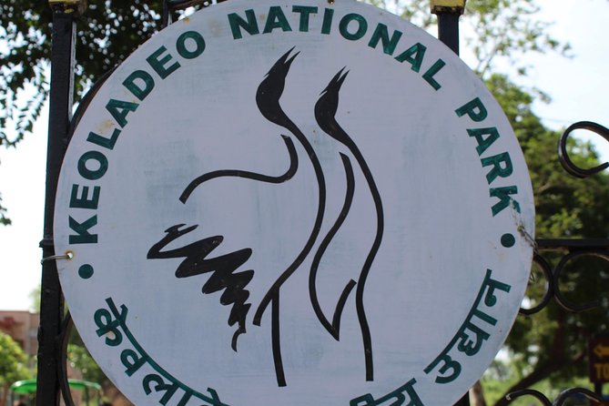 Guided Keoladeo Bird National Park Tour in Bharatpur from Jaipur - Morning Pickup at 6am: The Long Transfer That Sets the Tone
