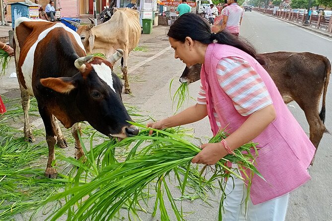 Guided Morning Bicycle Tour with Food Tasting in Jaipur - Food Tasting: Tea Stall Tradition to Kullhad Lassi