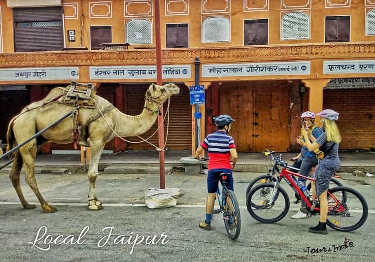 Jaipur: 3-Hour Morning Bike Tour of Jaipur Old City - Key reasons this tour works so well