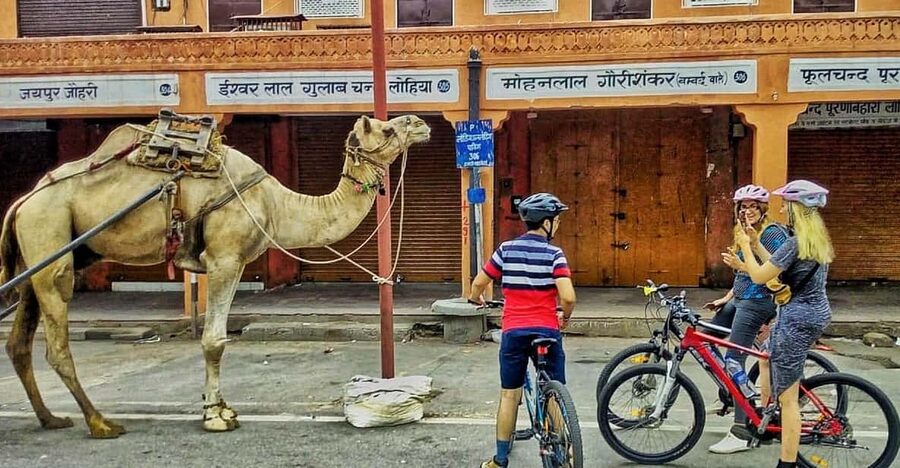 Jaipur: 3-Hour Morning Bike Tour of Jaipur Old City - Albert Hall area park life and laughing yoga