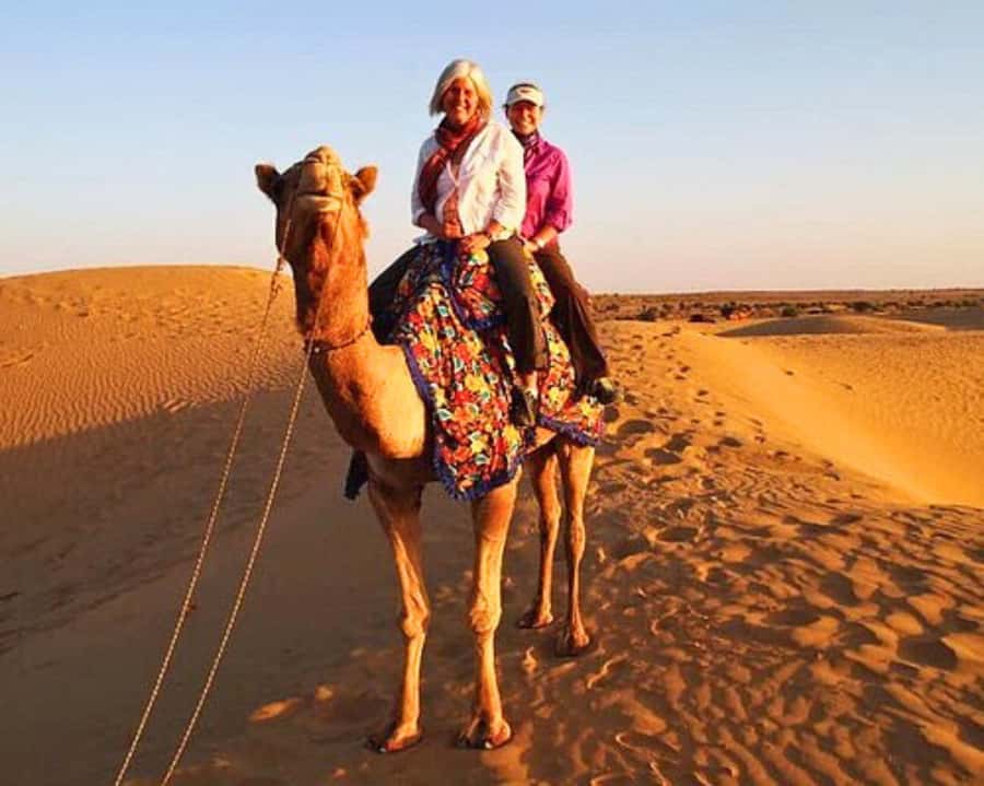 Jaipur: Ajmer & Pushkar Day Trip with Lunch & Camel ride - Key highlights to watch for