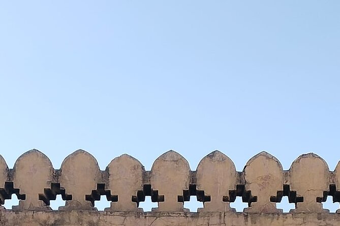 Jaipur City Full Day Luxury Private Tour - Gaitore Ki Chhatriyan: royal cremation grounds in quiet marble
