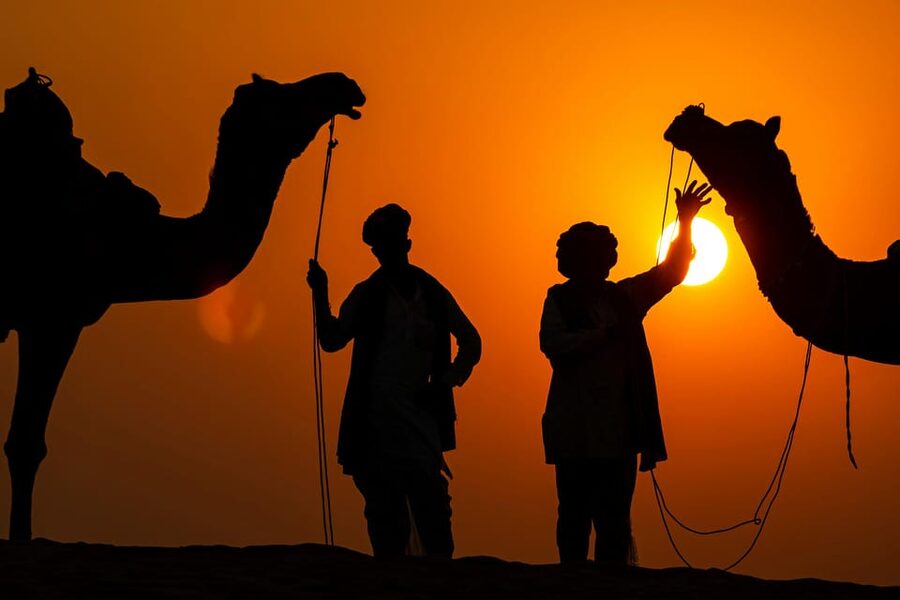 Jaipur: City Tour Full-Day Sightseeing with Guide - Lunch at a local restaurant: plan to keep your energy steady