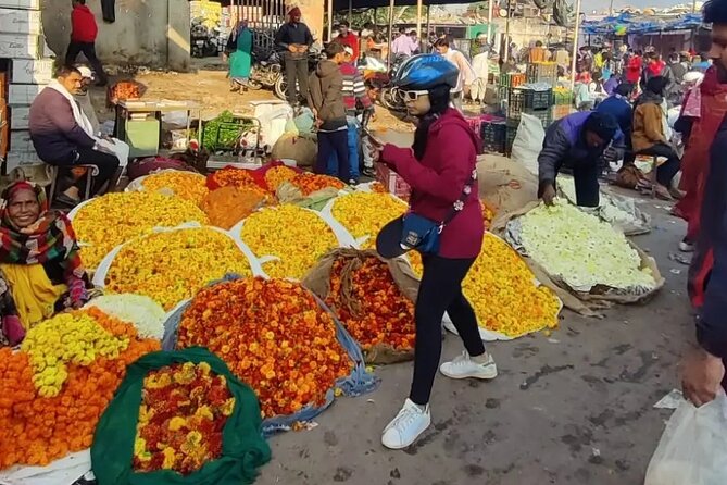 Jaipur Cultural Cycling Tour - Why biking the Pink City gives you a different Jaipur