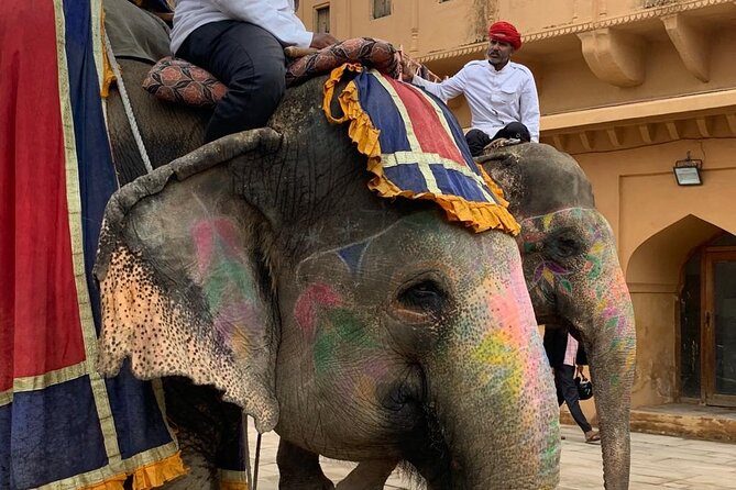 Jaipur Discovery with Guide and driver - Price and Value: What $40 Buys (and What It Doesn’t)