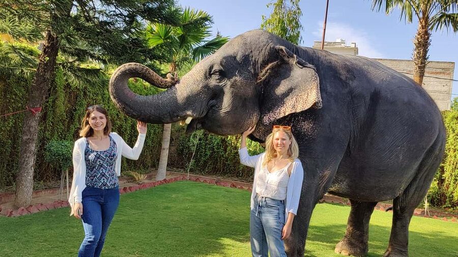 Jaipur Elephant Experience: Bond, Connect, and Learn - Price and value: is $40 worth it for what you get?