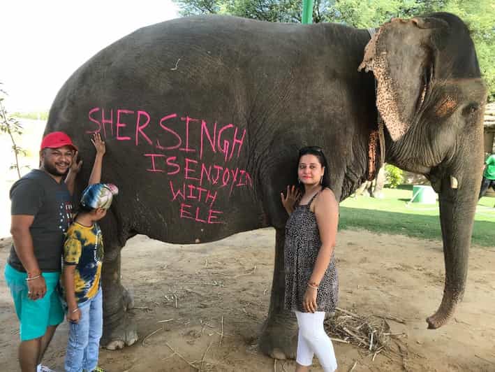 Jaipur: Elephant Interaction Tour - Quick hits: what makes this Jaipur elephant tour work