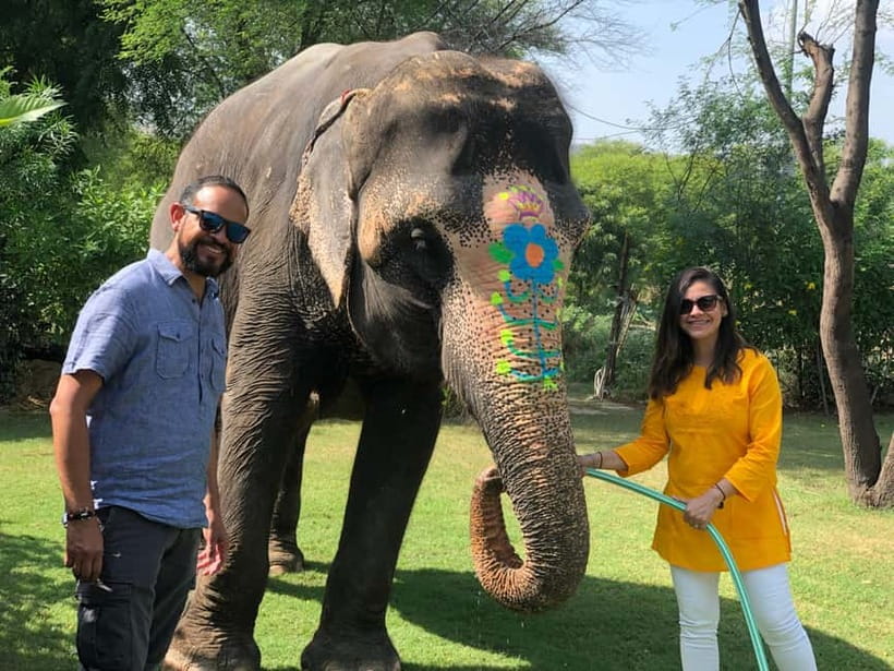 Jaipur: Elephant Interaction Tour - Feeding and favorite foods: the easiest way to earn trust