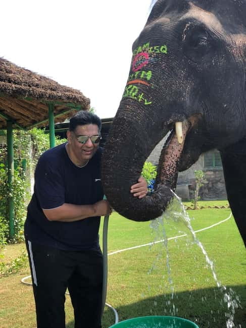 Jaipur: Elephant Interaction Tour - Mud bath and village walking: animal time, not photo time